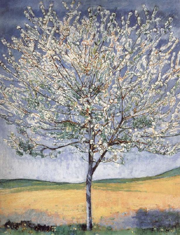 Ferdinand Hodler Cherry tree in bloom Germany oil painting art